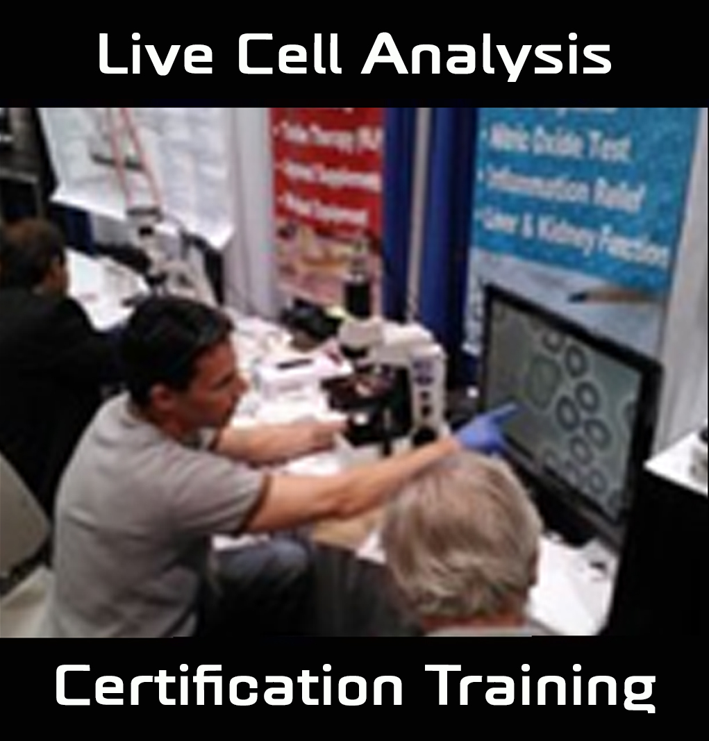 Live Cell Analysis 2